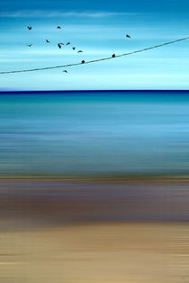 CRETAN SEA & BIRDS II by Pia Schneider