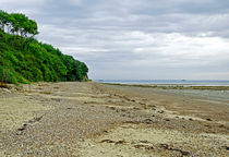 St Helens Beach, near Priory Bay von Rod Johnson