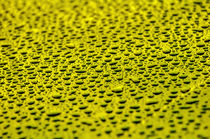 Yellow Water Drops von digidreamgrafix