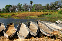 Mokoro-Einbäume, Okavango, Botswana von gfc-collection