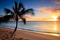 Maui Sunset by Dominik Wigger