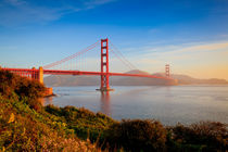 Golden Gate Bridge by Dominik Wigger