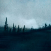 Blue Woods by Priska  Wettstein