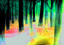 Geheimnisvoller Wald von Klaus Engels