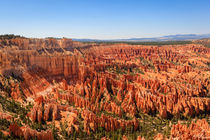 Bryce Canyon by Dominik Wigger
