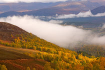 Glenmore Forest and the Cairngorms von Louise Heusinkveld