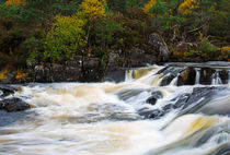 The Affric River, Glen Affric by Louise Heusinkveld