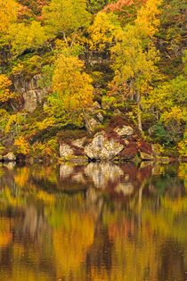 Glen Strathfarrar in the Scottish Highlands by Louise Heusinkveld