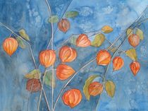 Physalis, oder die Farben des Herbstes von Sabine Sigrist