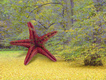 COMMON STARFISH STARRING ON EARTH by artistdesign
