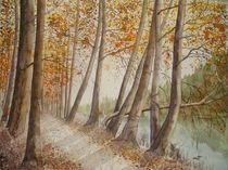 Herbst an der kleinen Emme by Sabine Sigrist