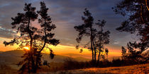 Sunrise, Sonnenaufgang über den Wacholderheiden von Christian Busch