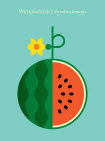 Fruit: Watermelon by Christopher Dina