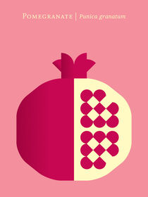 Fruit: Pomegranate von Christopher Dina