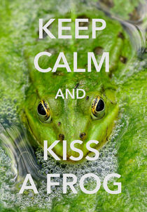 Keep calm and kiss a frog funny quote von Matthias Hauser