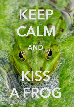 Keep-calm-frog-haul-2mh7991a-v2