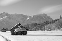Zugspitz Winterblick in SW by Andreas Müller