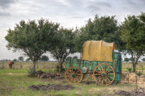 Old Farm Chariot von agrofilms