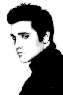 Young Elvis by Stephen Lawrence Mitchell