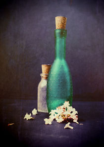Still Life - Glass Bottles with Petals of a Winter Blossom by Sybille Sterk