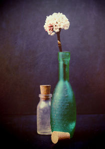 Still Life - Glass Bottles with Winter Blossom von Sybille Sterk