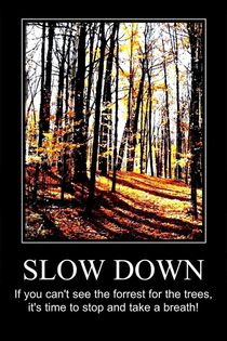 slow down by Sabine Cox