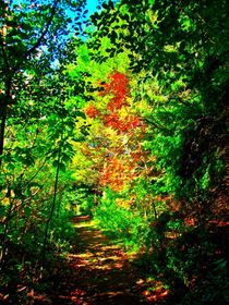 Autumn Path von Sabine Cox