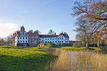 Schloss Basedow, Mecklenburg-Vorpommern, Deutschland von ullrichg