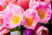 Tulpen - Freude von Viktor Peschel
