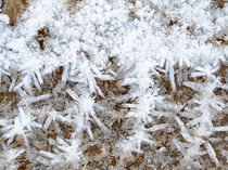 Ice needles von madle-fotowelt