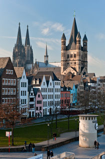 Köln by davis