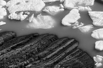 Ice floe, Perito Moreno Glacier, Argentina, b/w by travelfoto