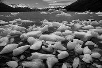 Ice floes in Lago Argentino, Patagonia, b/w by travelfoto
