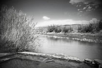 Rio Grande Hot Springs in Black and White by Judy Hall-Folde