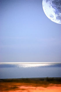 Moon Vision by Judy Hall-Folde