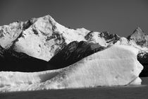 Iceberg, Argentina, b/w von travelfoto