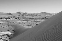 Sand Dunes of the Namib by travelfoto