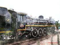 The Knysna Train by Stephen Lawrence Mitchell
