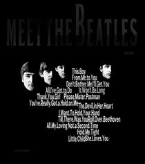 Meet The Beatles Again von Stephen Lawrence Mitchell