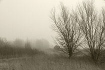 Land im Nebel - Land in the fog  von ropo13