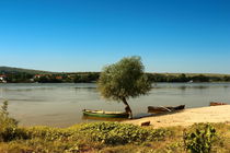 Danube Delta by robert-boss