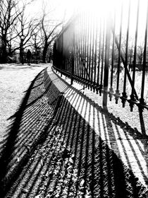 Central Park in the Winter Sun von Jon Woodhams