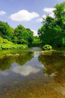 The River Wye Downstream, at Upperdale by Rod Johnson