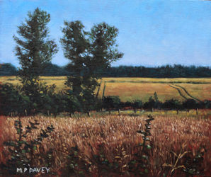Painting-dorset-countryside-golden-fields-in-summer