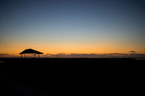Brazoria Sunrise by agrofilms