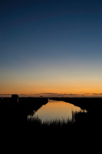 Brazoria Sunrise Reflected  von agrofilms