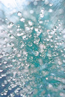 Blue Drops by © Ivonne Wentzler
