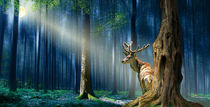 Ein Hirsch im mystischen, nächtlichen Wald von Monika Juengling