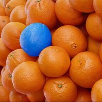 funny splash- Orangen by mehrfarbeimleben
