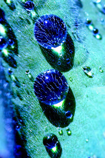 Blaue Regentropfen Perlen. Blue raindrops water pearls von Katho Menden